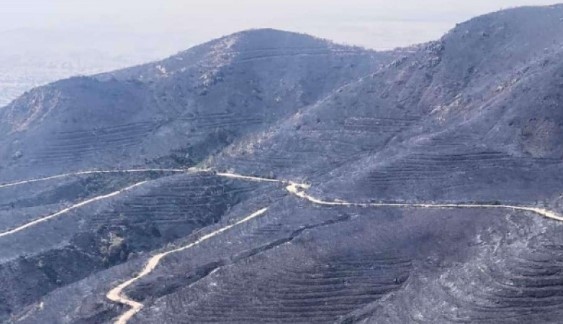 В огромна екологична катастрофа се превръща големият пожар който бушува